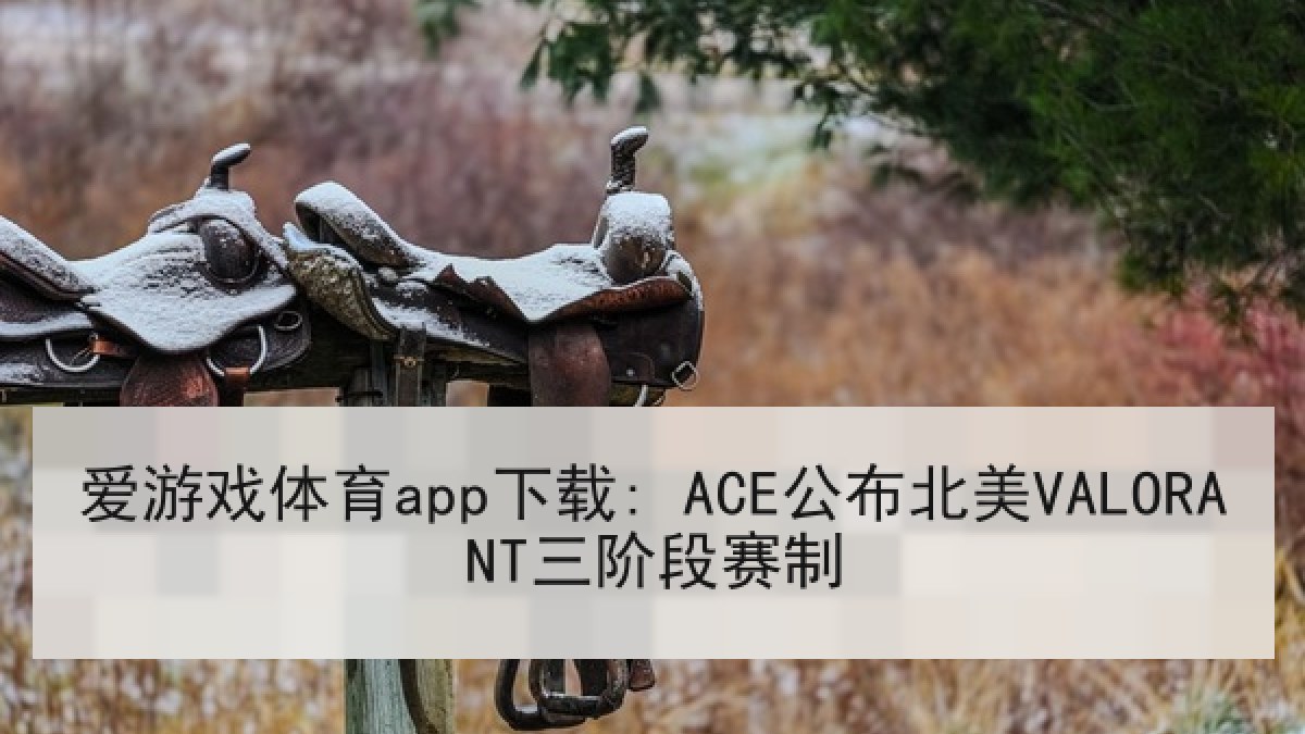爱游戏体育app下载: ACE公布北美VALORANT三阶段赛制