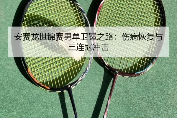 an-sai-long-shi-jin-sai-nan-dan-wei-mian-zhi-lu-shang-bing-hui-fu-yu-san-lian-guan-chong-ji-3-879.jpg