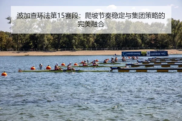bo-jia-cha-huan-fa-di-sai-duan-pa-po-jie-zou-wen-ding-yu-ji-tuan-ce-lve-de-wan-mei-rong-he-3-492.jpg